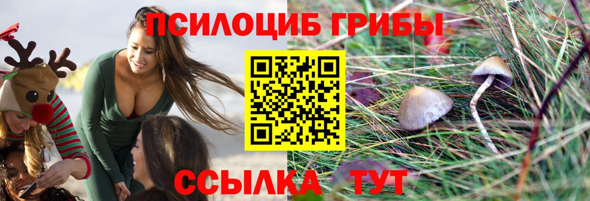 Галлюциногенные грибы GOLDEN TEACHER Югорск